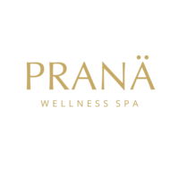 PRANÄ WELLNESS SPA  logo