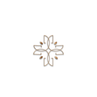 Centro de Medicina Estética & Regenerativa logo