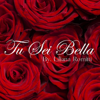 Estetica Tu Sei Bella logo