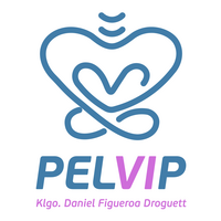 PELVIP TORREMEDICA logo