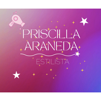 Pry estilista  logo