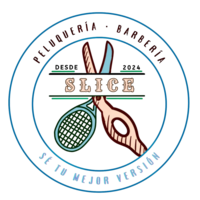 𝕊𝕝𝕚𝕔𝕖 𝕊𝕥𝕦𝕕𝕚𝕠 logo