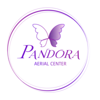 Pandora Aerial Center logo