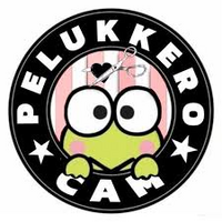 PELUKKEROCAM logo