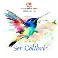 Ser Colibrí  logo