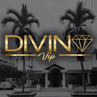DIVINO VIP logo
