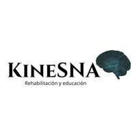 KineSNA-Kinesiología en recoleta logo