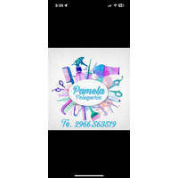 Peluquería de Pamela Diaz logo