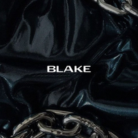 Blake_estudio  logo