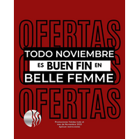 Belle Femme Salon logo