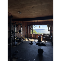 Gimnasio de Alfonso Castro logo