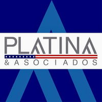 PLATINA & ASOCIADOS  logo