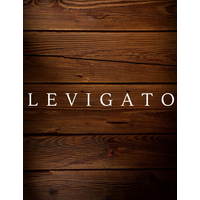 LEVIGATO Hair Studio logo