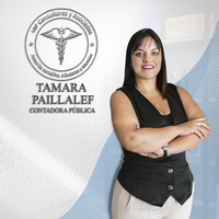 Tamara Paillalef - V&P Consultores logo