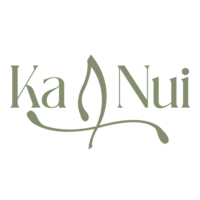 KA NUI TERAPIAS logo