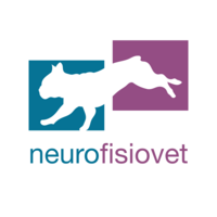  Neurofisiovet logo