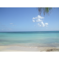 Salón de Manicure y Pedicure de OSCAR BENAVIDES logo