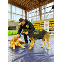 Consultorio de Román Zhbankova logo