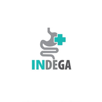 Indega logo