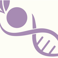 Consultorio de Marianne Müller V. logo