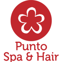 PUNTO SPA HAIR  logo