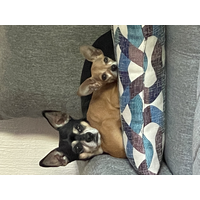 aideth.escudero@hotmail.com logo