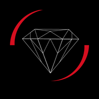 Detailing Factory logo