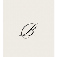 Browz Studio logo
