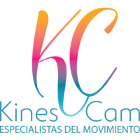 Kines Cam logo