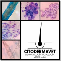 CITODERMAVET  logo