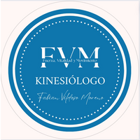 Kinesiólogo / Fisioterapeuta de Fabian Vildoso logo