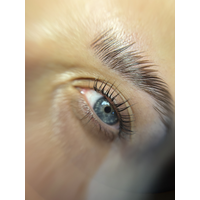 CandeBeauty by zebra studio  logo