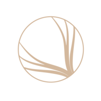 CET San Isidro logo
