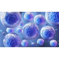 Dra.Alejandra De León logo