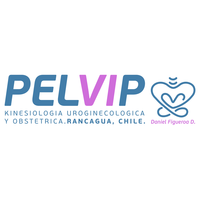 PELVIP TORREMEDICA logo
