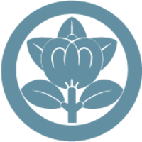 Quiropráctico Javier Hernández logo