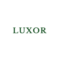 LUXOR – Clínica Estética y Spa Integral logo