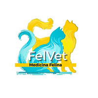 FelVet Medicina Felina logo